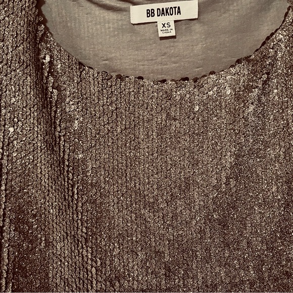 BB Dakota Champagne Sequins Dress - Picture 3 of 6